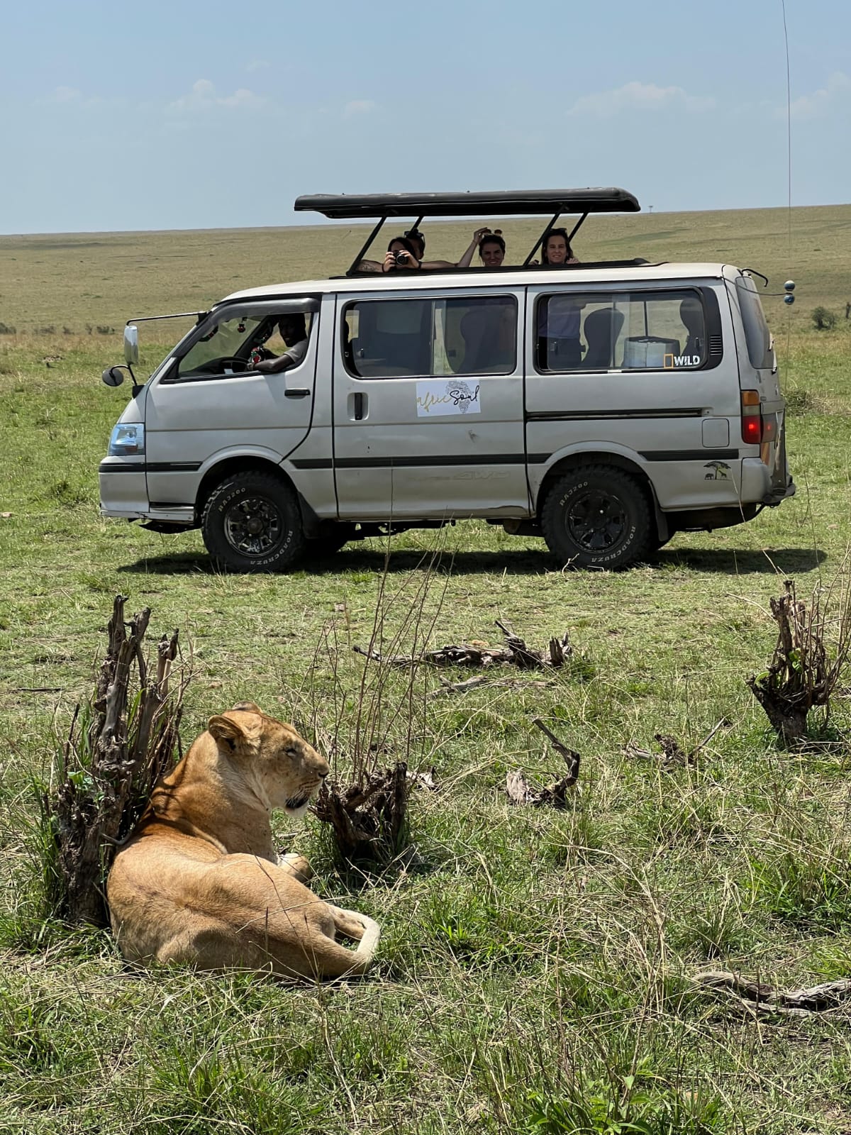 Luxury Wildlife Safaris